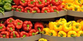 Sagra del peperone di Carmagnola 1072 0 peperone carmagnola_ok